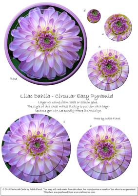 Circular Easy-position Pyramid - Lilac Dahlia