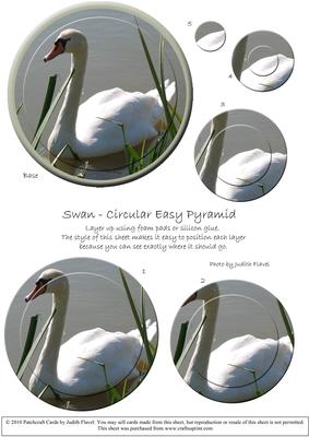 Circular Easy-position Pyramid - Swan