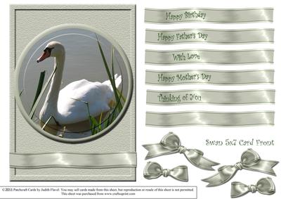 Swan with Oyster Ribbons