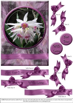 Orchid B - with Love