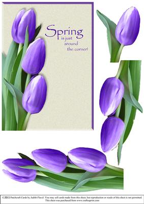 Tulips for Spring - Purple