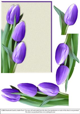 Tulips for Spring - Purple Blank