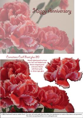 Carnations Card Front Plus - Anniversary
