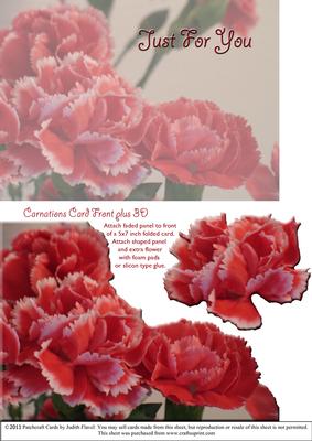 Carnations Card Front Plus - Just for You