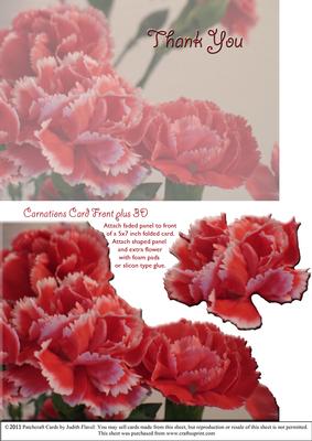 Carnations Card Front Plus - Thank You