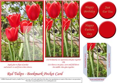 Bookmark Pocket Card - Red Tulips