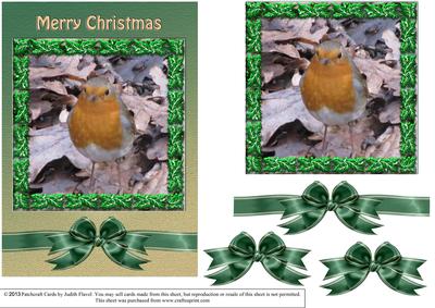 Christmas Robin with Holly Frame 1