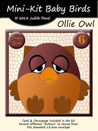 Mini-kit Baby Birds - Ollie Owl