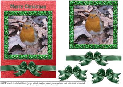 Christmas Robin with Holly Frame 3