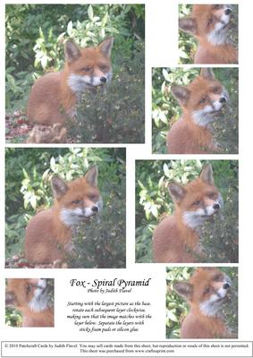 Fox - Spiral Pyramid