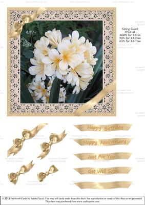 Ribbons and Lace - Lilies