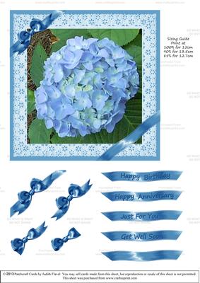 Ribbons and Lace - Hydrangea