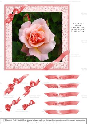 Ribbons and Lace - Peach Rose