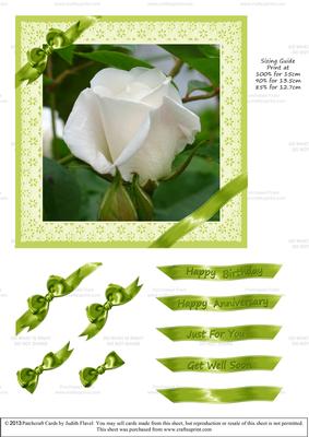 Ribbons and Lace - White Rose