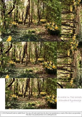 A Walk in the Woods Pyramage