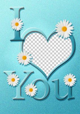 I Heart You - Aqua - Daisies