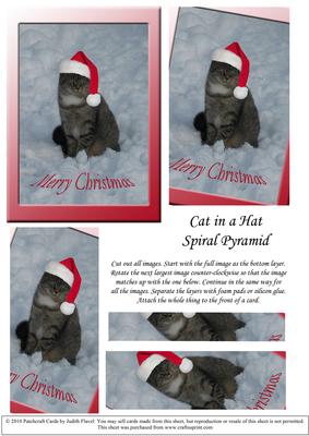 Cat in a Hat - Spiral Pyramid