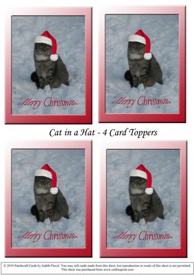 Cat in a Hat - Toppers