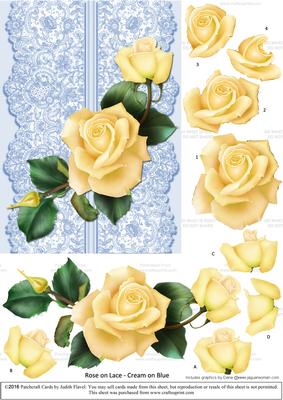 Roses on Lace - Cream on Blue