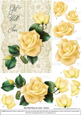 Roses on Lace - Cream on Cream - Get Well