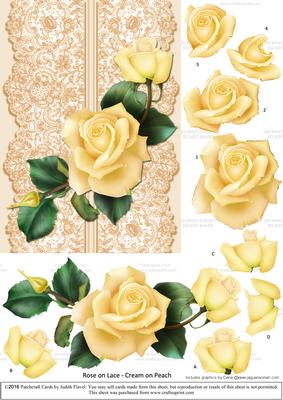 Roses on Lace - Cream on Peach