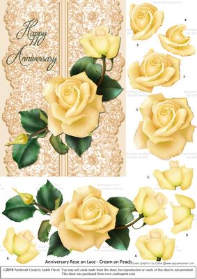 Roses on Lace - Cream on Peach - Anniversary