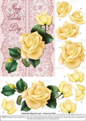 Roses on Lace - Cream on Pink - Valentine