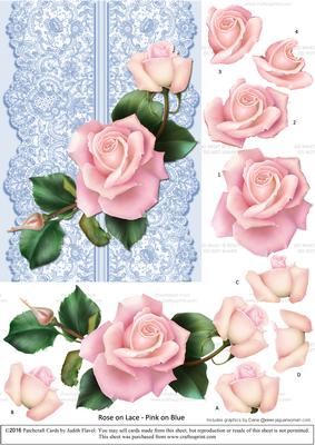 Roses on Lace - Pale Pink on Blue