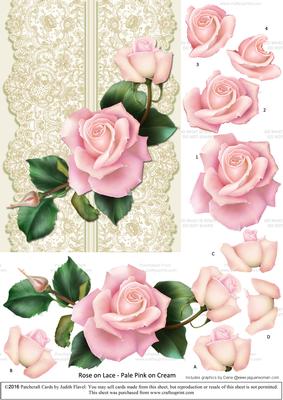 Roses on Lace - Pale Pink on Cream