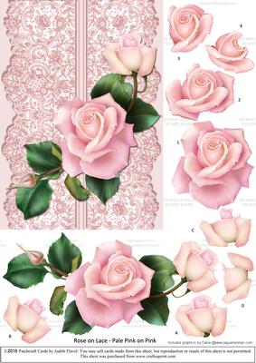 Roses on Lace - Pale Pink on Pink