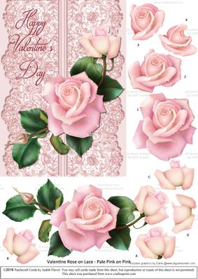 Roses on Lace - Pale Pink on Pink - Valentine