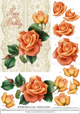 Roses on Lace - Peach on Cream - Birthday