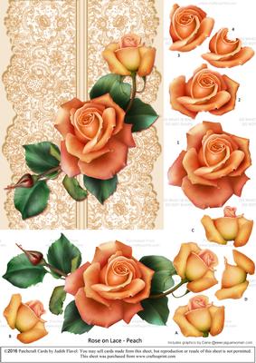 Roses on Lace - Peach on Peach