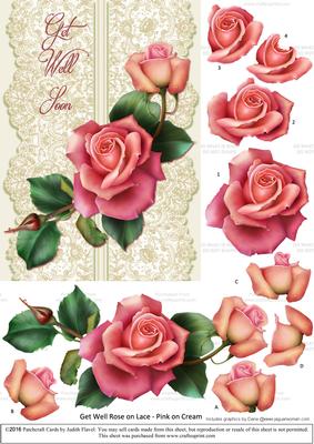 Roses on Lace - Pink on Cream - Get Well