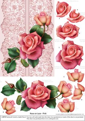 Roses on Lace - Pink on Pink