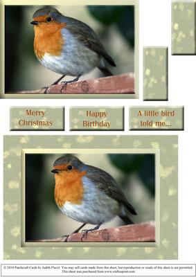 A Little Bird Told Me 1