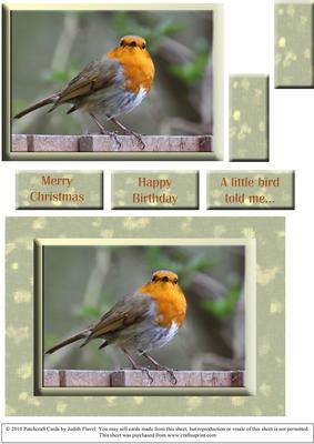 A Little Bird Told Me 2