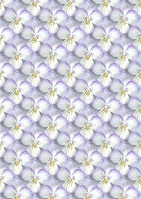 Pansy 4 Background Vellum