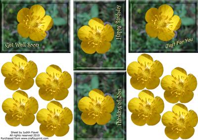 Buttercup Toppers