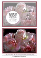 Peek-a-boo Roses in the Rain