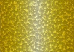 Shaded Backgrounds - Frosty Fingers - Mustard