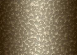 Shaded Backgrounds - Frosty Fingers - Earth