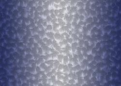Shaded Backgrounds - Frosty Fingers - Dusty Denim