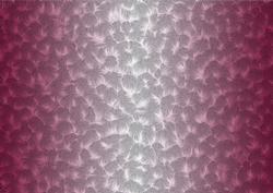 Shaded Backgrounds - Frosty Fingers - Damson