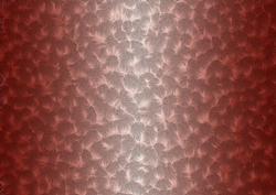 Shaded Backgrounds - Frosty Fingers - Chestnut