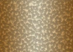 Shaded Backgrounds - Frosty Fingers - Cafe Latte