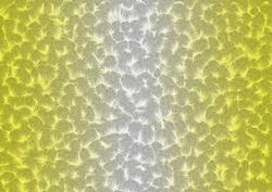 Shaded Backgrounds - Frosty Fingers - Sunshine Yellow