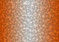 Shaded Backgrounds - Frosty Fingers - Florida Orange
