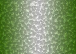 Shaded Backgrounds - Frosty Fingers - Christmas Green
