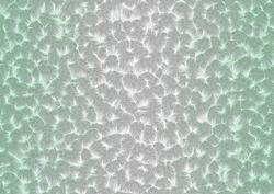 Shaded Backgrounds - Frosty Fingers - Peppermint